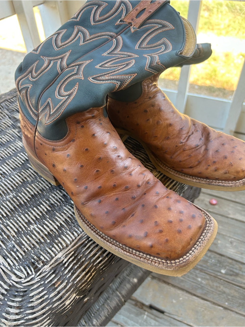 Vintage exotic cavender western boots